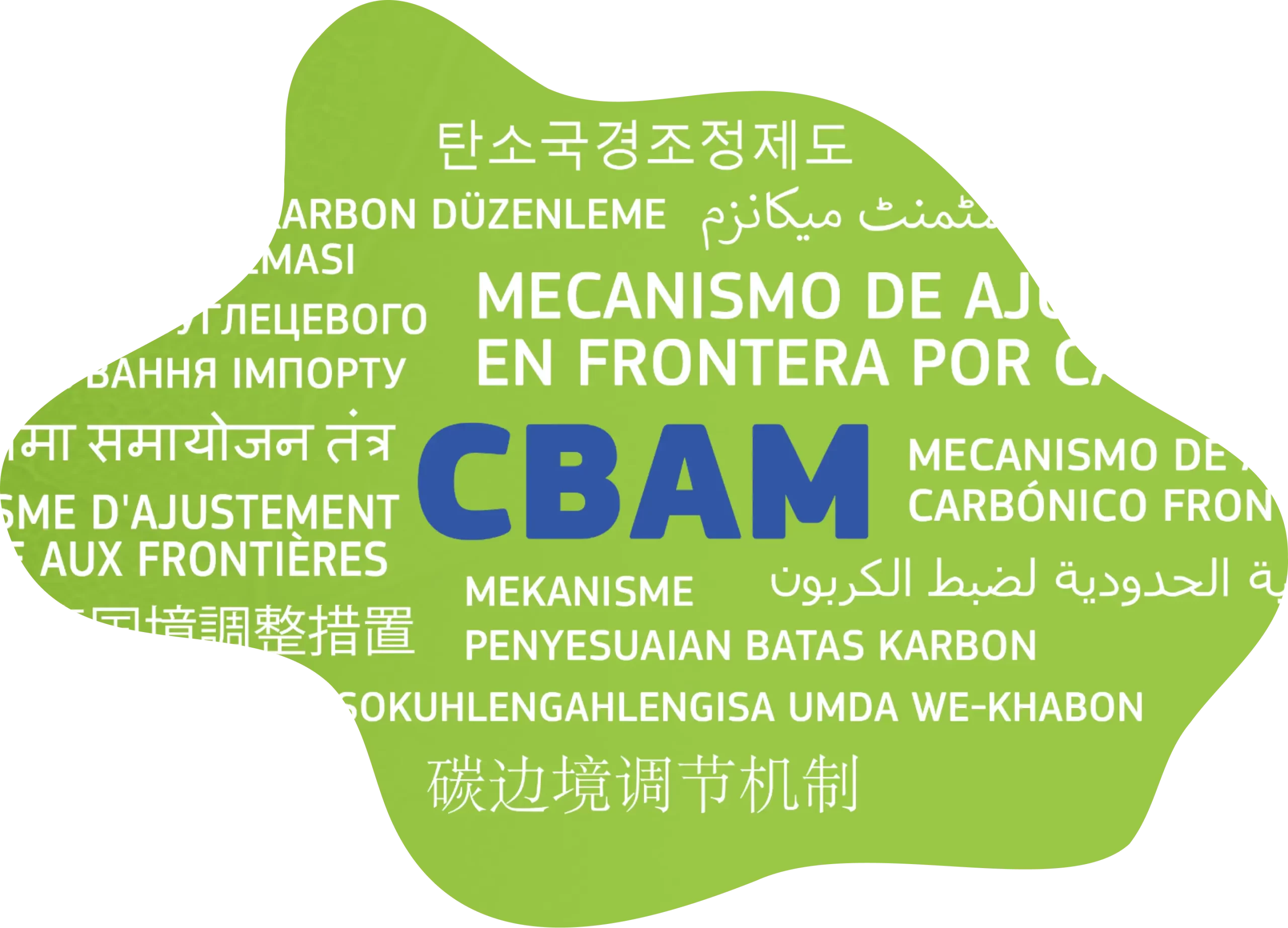 Carbon Transparency &amp; Compliance